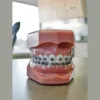 Palmer Orthodontics